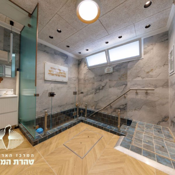 gallery picture